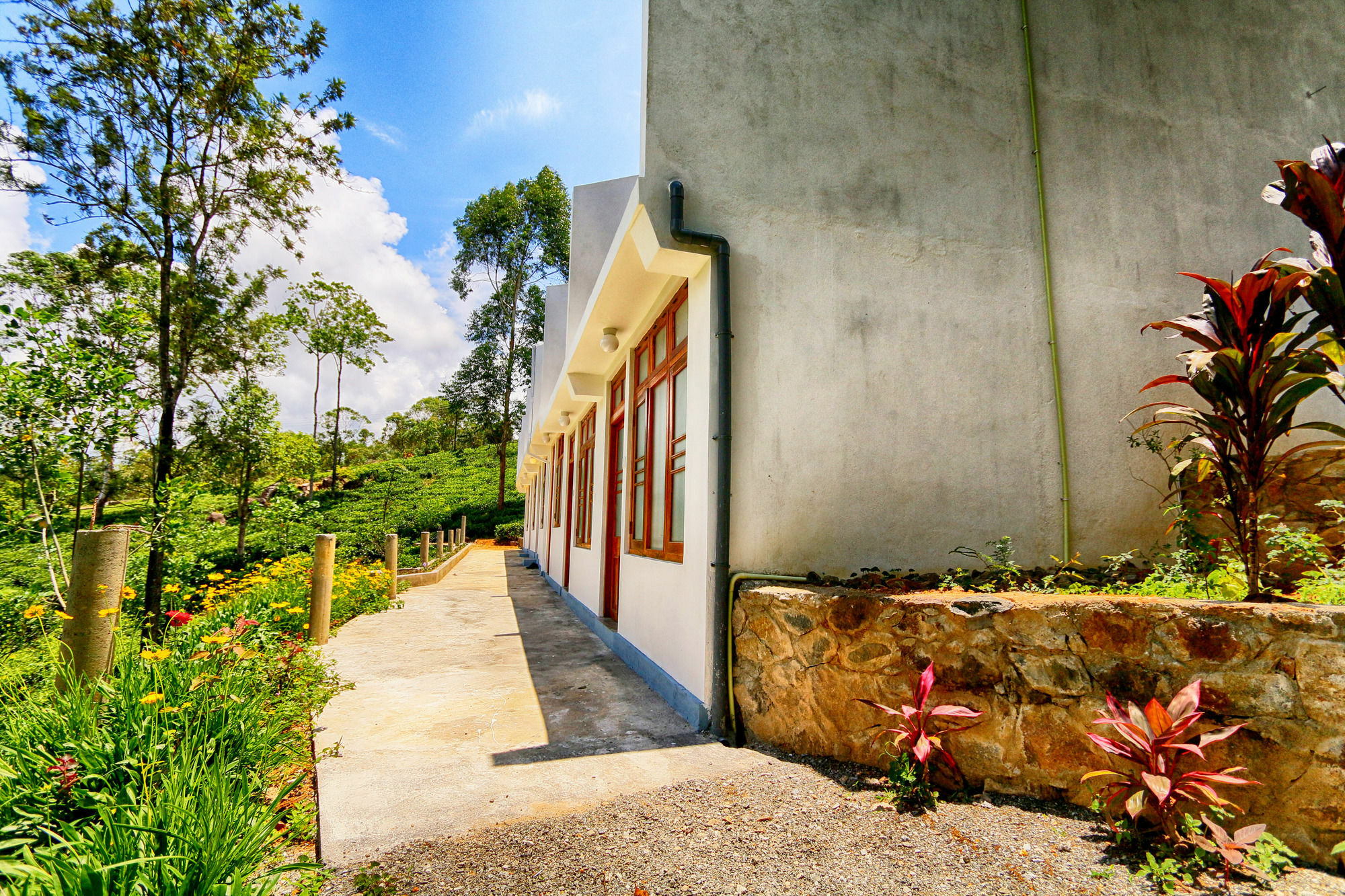 The Tea Tree Resort Ella Extérieur photo